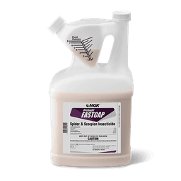 Onslaught FastCap Spider & Scorpion Insecticide